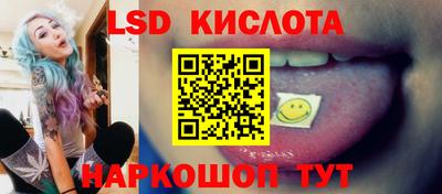 крисы Вязьма