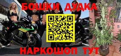 mdpv Владикавказ